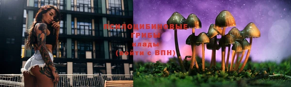 мескалин Балахна