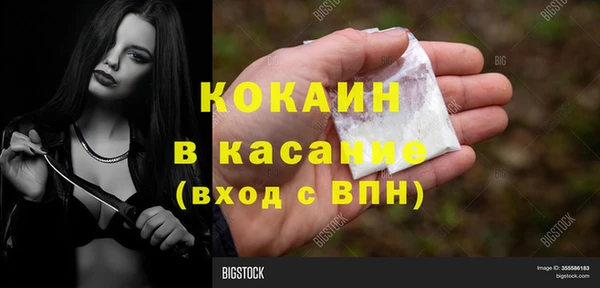 шишки Баксан
