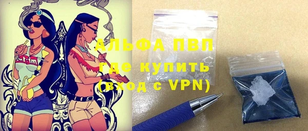 шишки Баксан