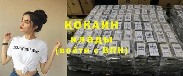 шишки Баксан