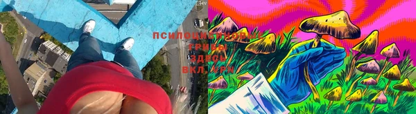 кокс Армянск