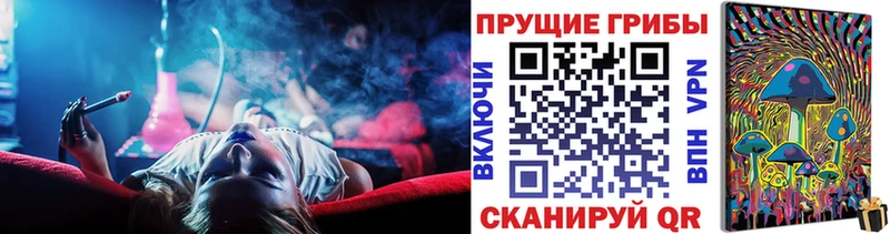 где можно купить наркотик  Барабинск  Псилоцибиновые грибы мицелий 
